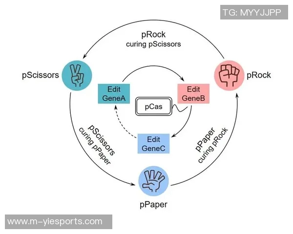 和平精英战术EDG的整体压制体系与团队协作策略分析